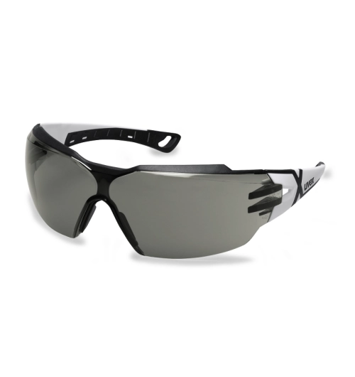 Brýle Pheos CX2 9198.237,zorník šedý, rám bílý, černý