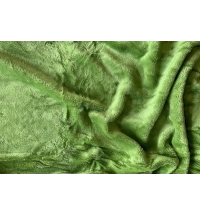 Prostěradlo mikroflanel na 2-lůžko kiwi (180cmx200cm) 